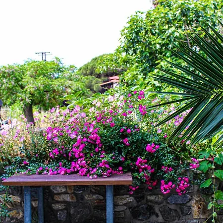 Theano * Paralia Sikias