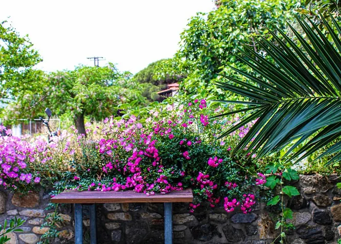 Theano * Paralia Sikias